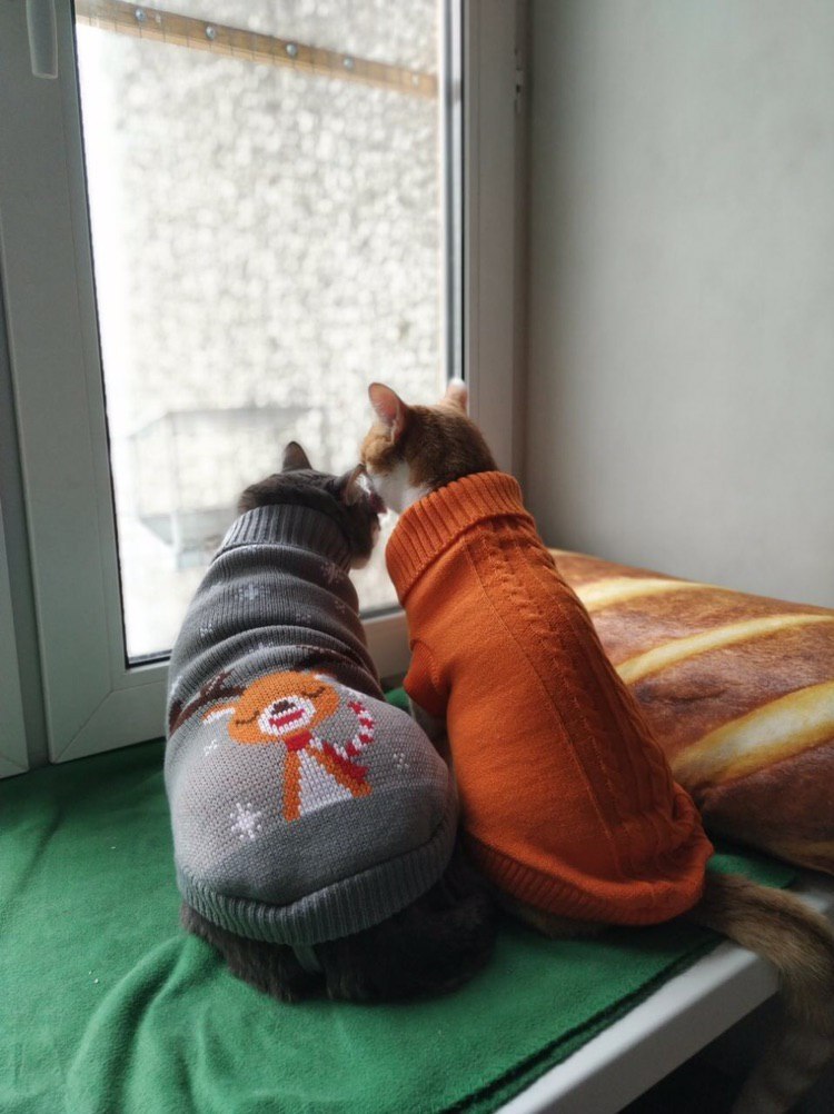   :3 - 2