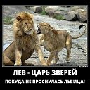 ���� ������ �, ��������� - ��������� 15 ������� 2019 � ������ ������ ��������