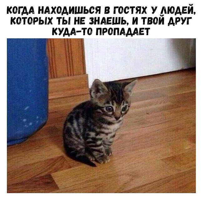    :D - 18  2018  16:28