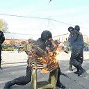 ���� ��������, ���������� - ��������� 2 ����� 2019 � ������ ���� ����������