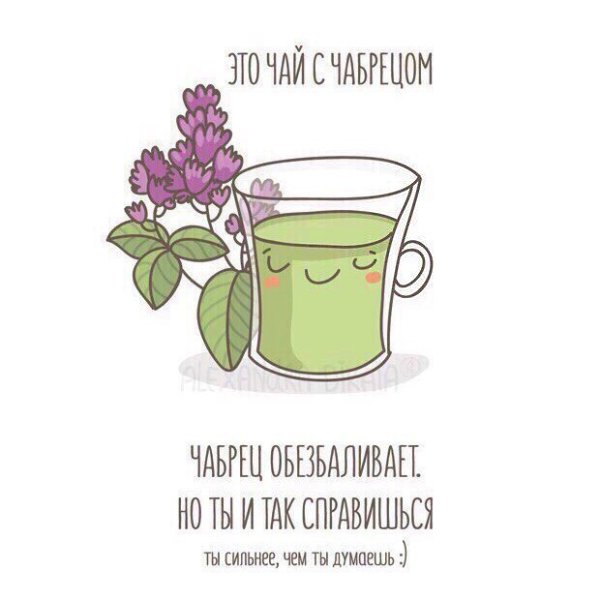 Не общайтесь с противными людьми. Лучше Пейте чай. Чай добрый. Он не предаст. Подборка видов чая на ... - 6
