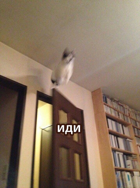      - 2