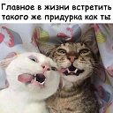 ���� ~&hearts;�&Auml;&uacute;&sigmaf;&hearts;~, ���� - ��������� 1 ������� 2019 � ������ ������ ��������