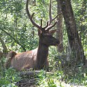  , -, 64  -  9  2019   - 