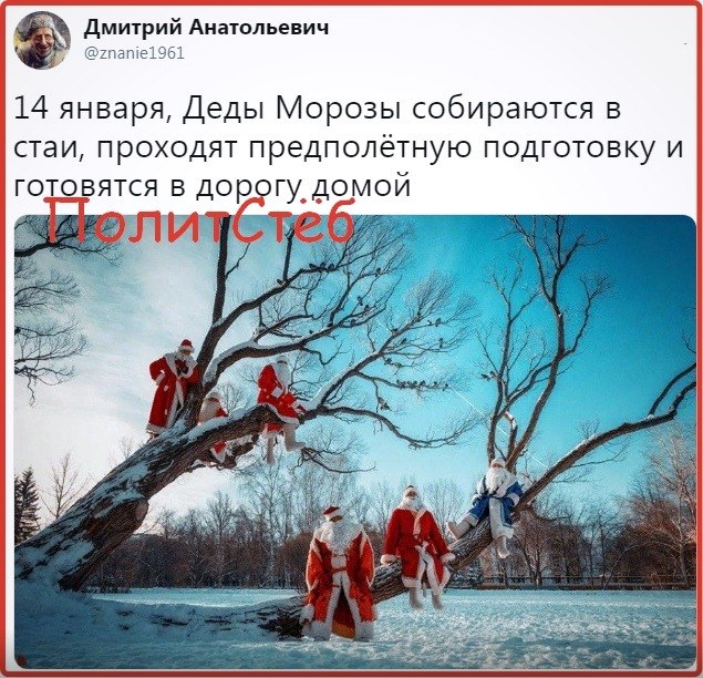 ������� - 14 ������ 2019 � 12:33