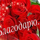 ���� �����), �����-��������� - ��������� 29 ����� 2019 � ������ ���� ����������
