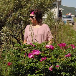 ������, �������, 55 ���