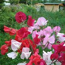 ���� ���������, �����������, 61 ��� - ��������� 21 ������� 2018 � ������ ������ ��������