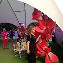 ���� Linok, ������, 56 ��� - ��������� 31 ���� 2018 � ������ ���� ����������
