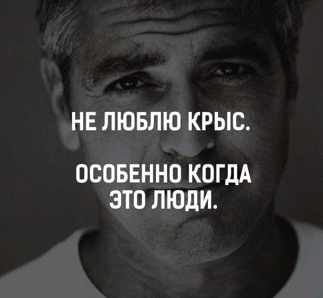 BEST | , ,  - 13  2018  02:50