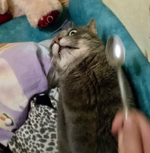  ,      ,    