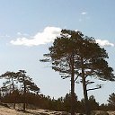 ���� ������, ������������ - ��������� 27 ����� 2019 � ������ ������ ����