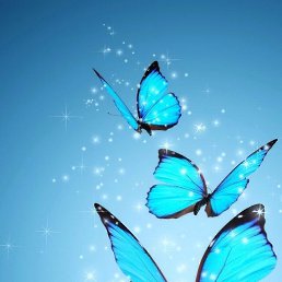 ���� �, ������ - ��������� 29 ������ 2019