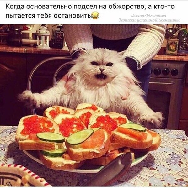    - 15  2018  16:30