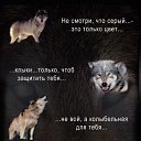 ���� Tytus, ���������, 45 ��� - ��������� 2 �������� 2018 � ������ ���� ����������