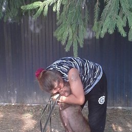 �������, ��������, 48 ���