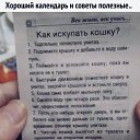 ���� �������, �����, 40 ��� - ��������� 19 ������� 2018 � ������ ���� ����������