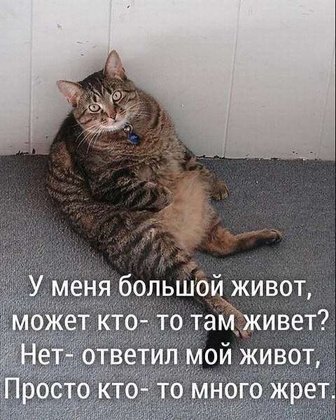   - 24  2019  15:08
