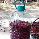  ...))) 12.08.2018    ,  .  2018.