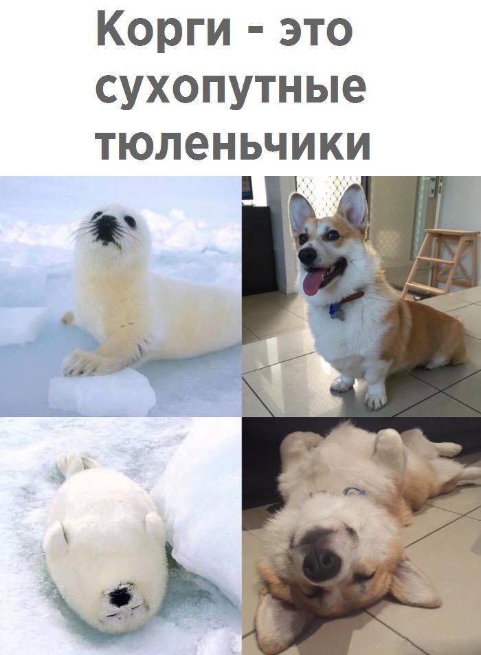   -   - 27  2018  16:24