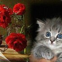 ���� �����, ������������, 39 ��� - ��������� 24 ������� 2018 � ������ ���� ����������