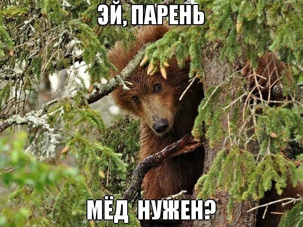   - 25  2018  16:57