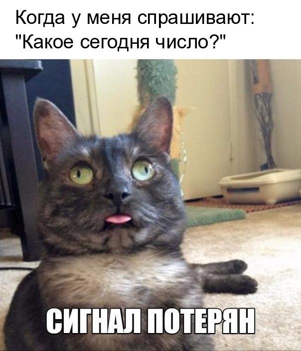   - 10  2018  16:29