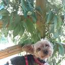 ���� ����, ����� - ��������� 6 ������ 2018 � ������ ���� ����������