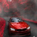 ���� ����, ������ - ��������� 11 ������� 2019 � ������ ���� ����������