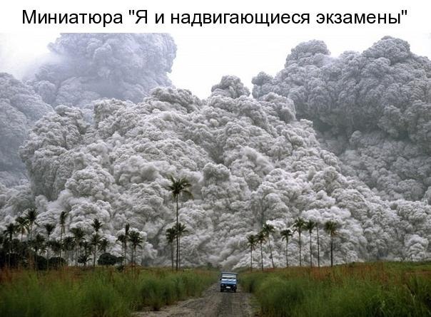   - 12  2019  16:59