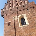 ���� Viktor, ������ - ��������� 3 ������� 2019 � ������ ���� ����������