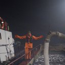 ���� ������, �����������, 41 ��� - ��������� 17 ������� 2018 � ������ ���� ����������