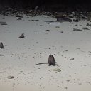 ���� ����, ������������ - ��������� 22 ������� 2018 � ������ �������� ����� 2017 ���
