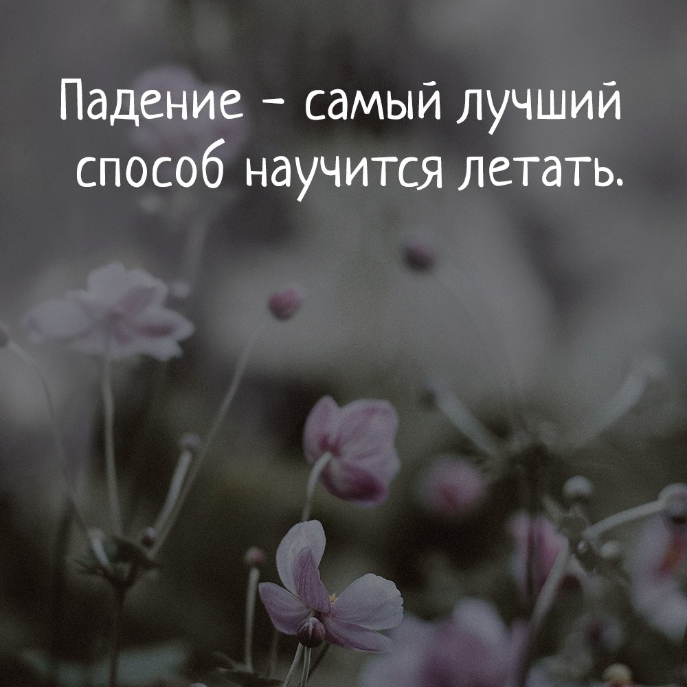  - 24  2018  16:21