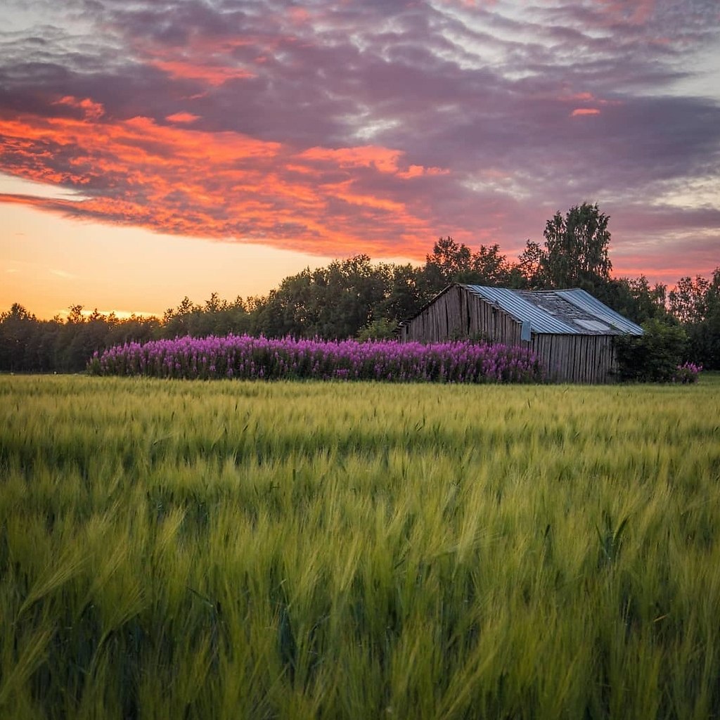 Finland