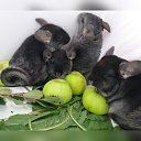 ���� �������, ������ - ��������� 28 ������� 2018 � ������ ����������
