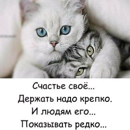 ���� ����, ������� - ��������� 10 ������ 2018