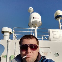 �������, �����������, 40 ���