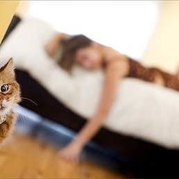 Irisha1975, ��������, 50 ���