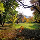 ���� ���������, �������, 66 ��� - ��������� 19 ������� 2018 � ������ ������ ��������