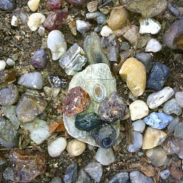 �������, ���������, 47 ���