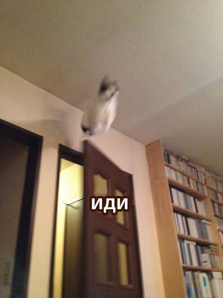      - 2
