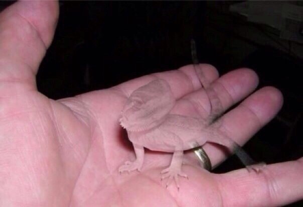    )
