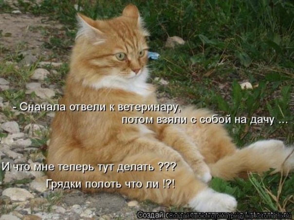 ***Victoria Viktorovna*** - 29  2019  09:42
