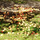 ���� �������, ���������, 66 ��� - ��������� 4 ����� 2019 � ������ ���� ����������