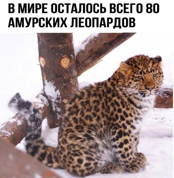    - 14  2018  16:35