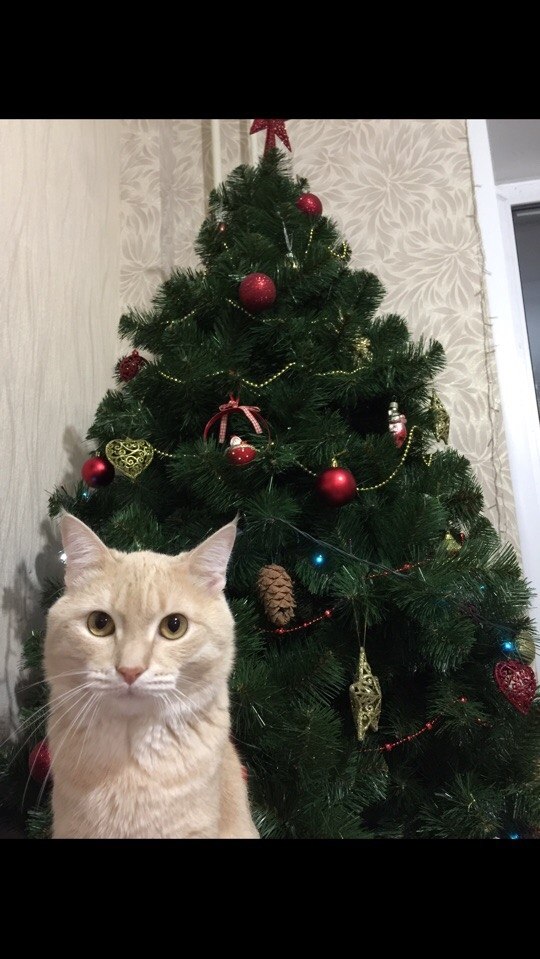 #_.  .     ,     , ... - 4