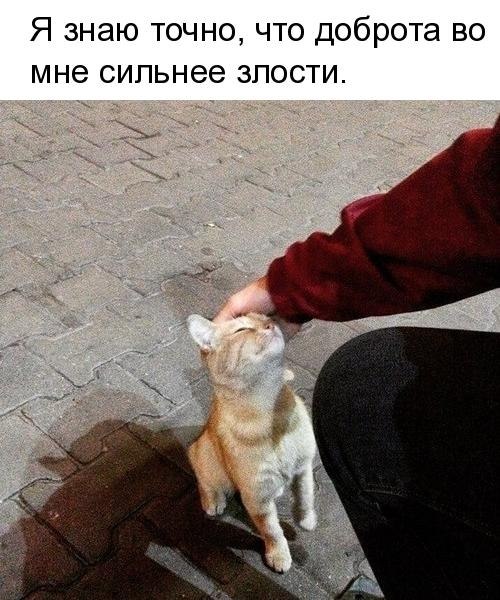   - 16  2019  16:40