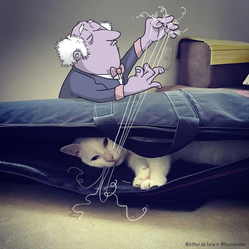   ,     .: lucaslevitan ... - 2