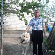 ��������, 74 ����, �����